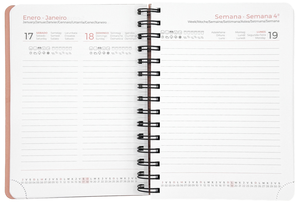 AGENDA PULSE 21DBU 2026